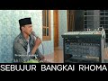 Sebujur bangkai • H. Rhoma Irama || ( Cover )