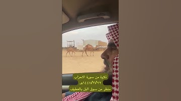 دحيم الحماد ١٤٤٧ه ماتيسر من سورة الأحزاب سوق البل بالعطيف