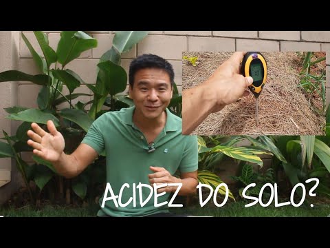 Vídeo: Teste de solo para problemas de jardim - como testar o solo para doenças ou pragas antes de plantar