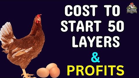 How Much to Start a 50 Layer Chicken Project? (Cost & Profit).