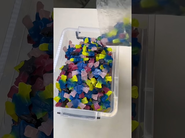 #candyshop #candy #restock #smallbusiness #satisfying #sweet #asmr #food #chocobar #shorts  #funny
