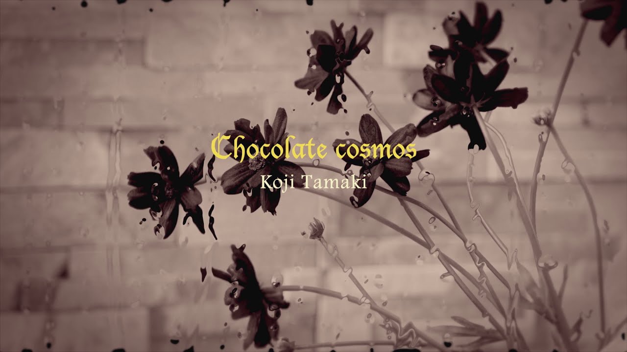 玉置浩二 Chocolate Cosmos Music Video Youtube