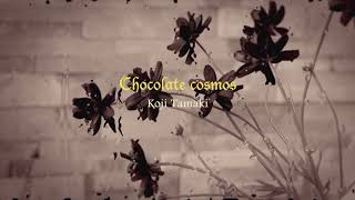 玉置浩二『Chocolate cosmos』MUSIC VIDEO
