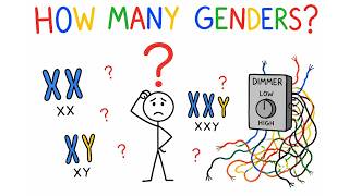 Details How Many Genders Are There Science Said, Define Your Terms. 🤦🧬 Guide