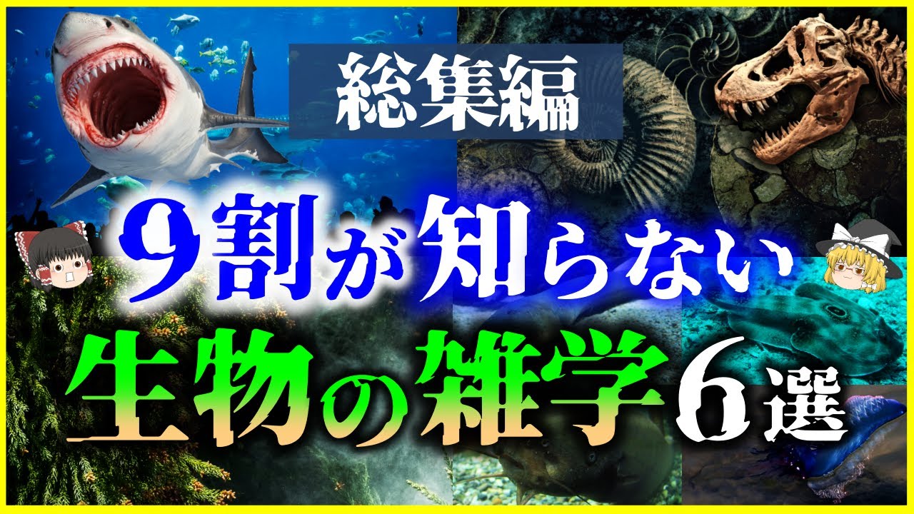 【ゆっくり解説】【総集編】9割の人が知らない⁉生物の謎・雑学6選を解説【作業用】【睡眠用】