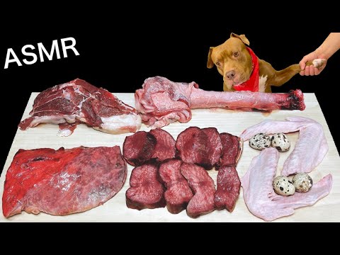 【ASMR】生肉を次々飲み干すピットブルがヤバすぎるw咀嚼音が最高