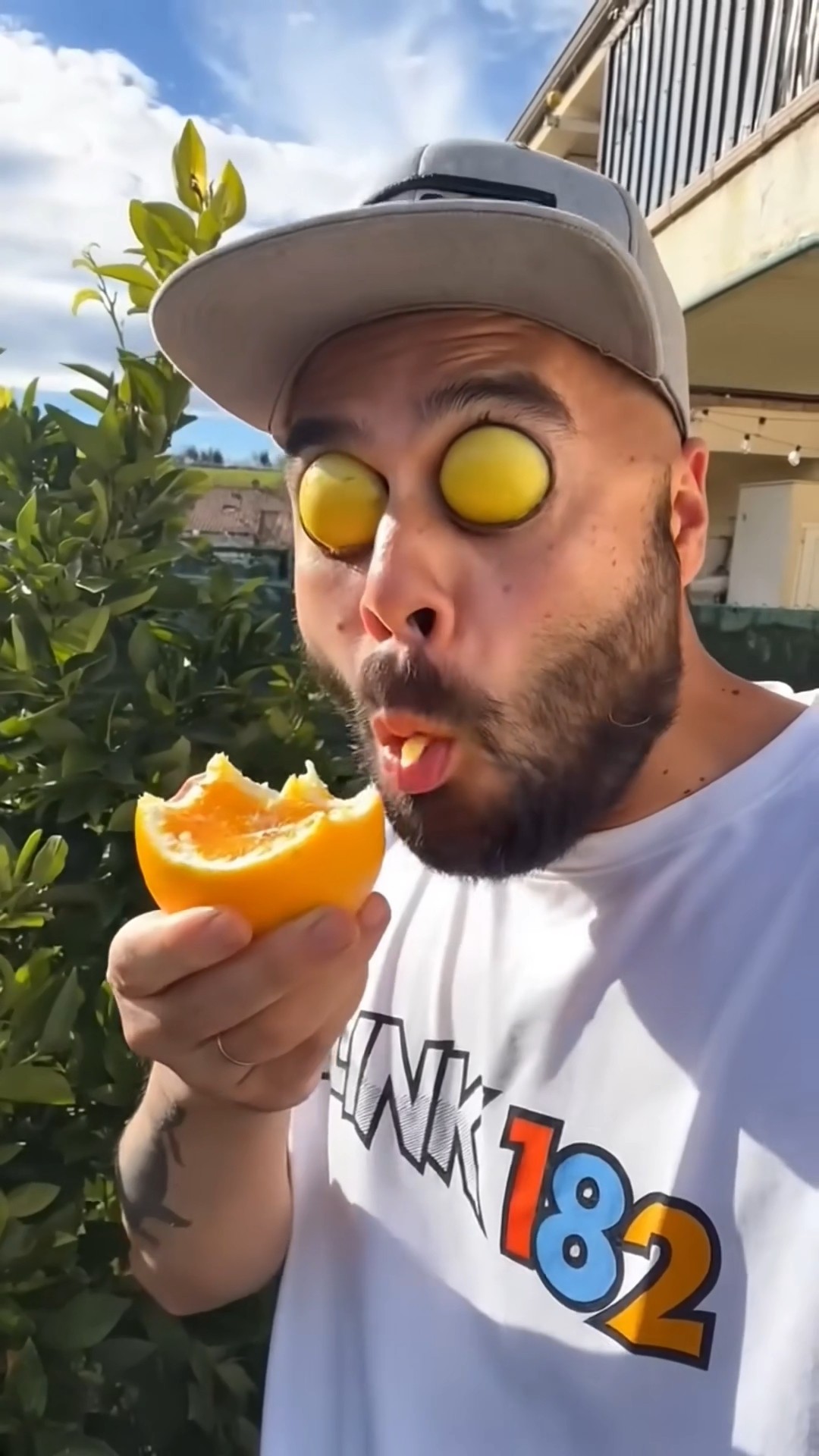 Want to try my oranges?🍊✨ - YouTube