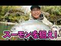 【ブランドマス】クリアポンドの主『スーモン』を狙え! #エリアトラウト #管理釣り場 #釣り #fishing #ムカイフィッシング