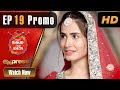 Watch Private video Online In HD