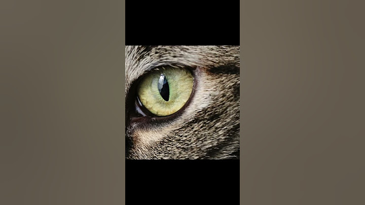 Where do they come up with these😂#katseye#bts#straykids#kpop