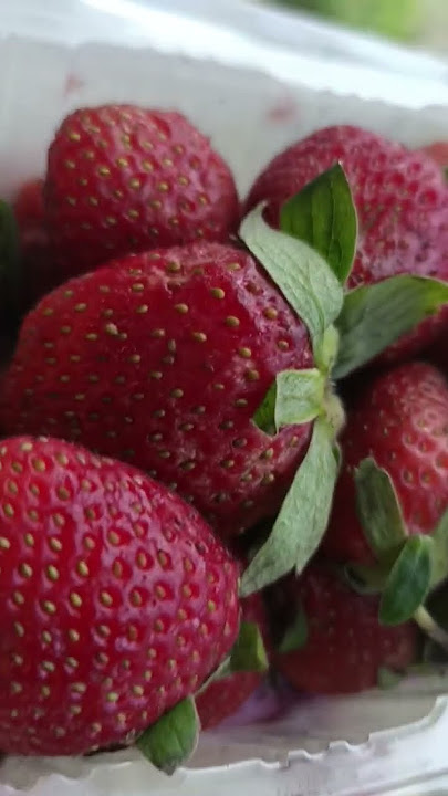 strawberry lokal!!