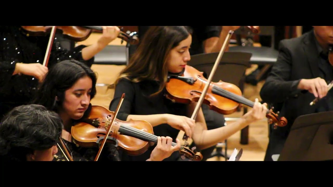 Feliza Ruíz, Dehiscencia; Germán Tort, director artístico