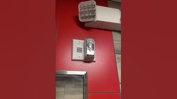 Edwards Ingretity Horn Strobe