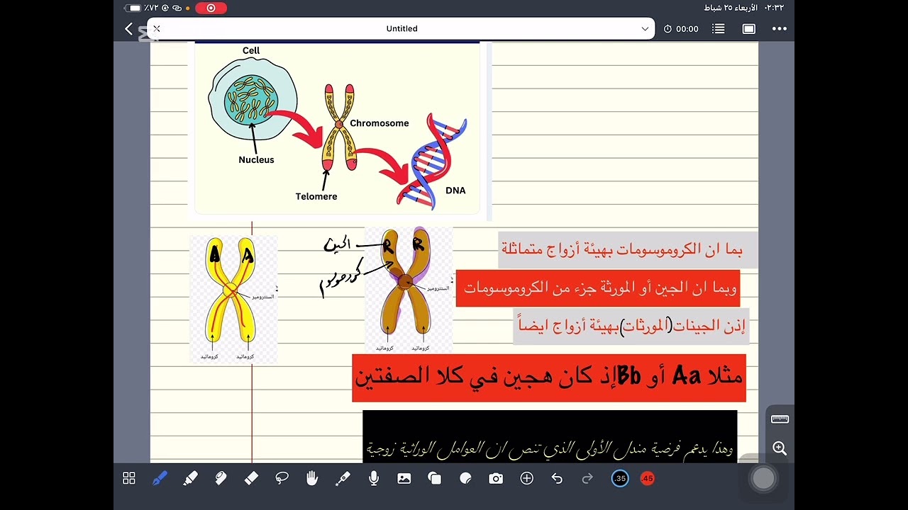الكروموسوم والجين