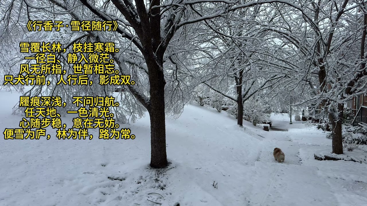 雪径随行