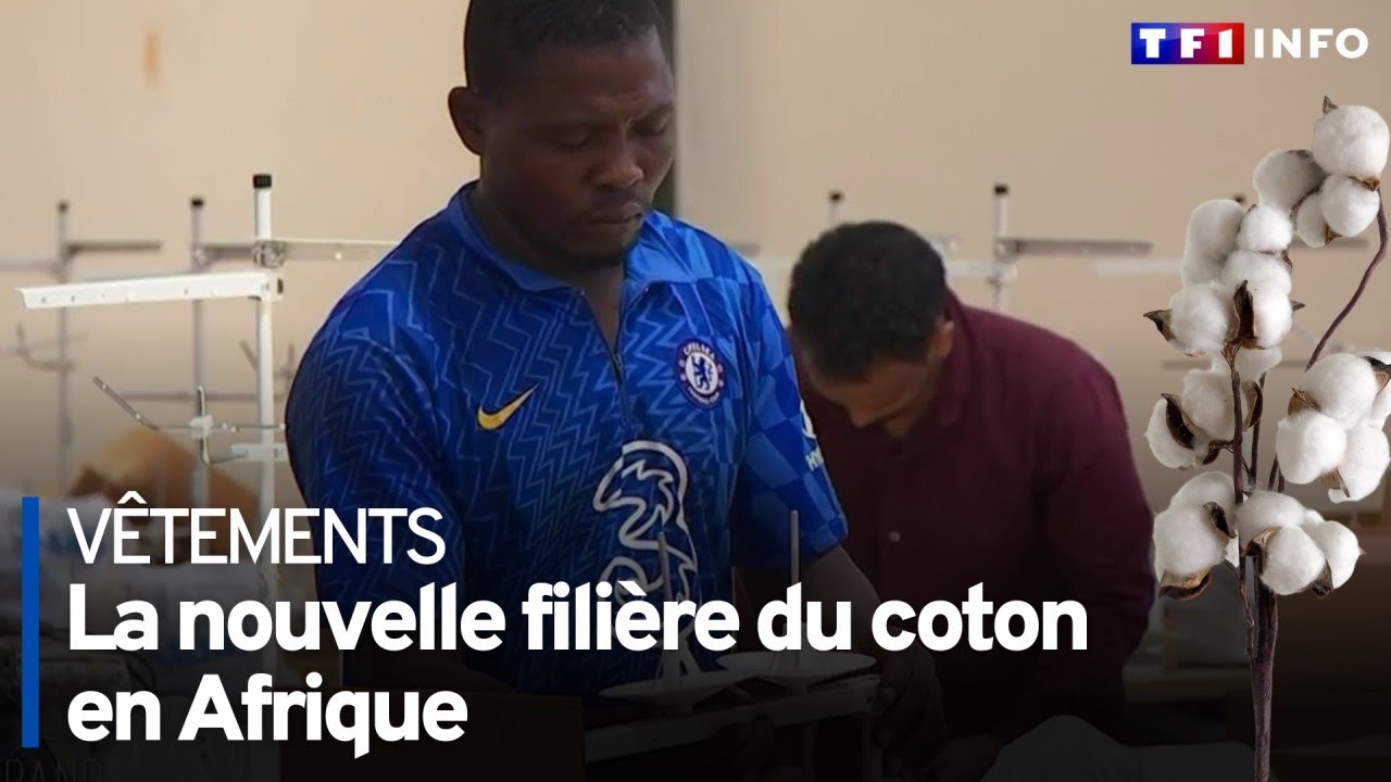 La nouvelle filière du coton en Afrique