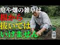 こんな草取りをしている人は今すぐやめてください！| ガーデニング | 栽培 | 雑草対策