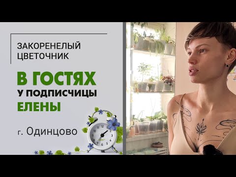 В гостях у Елены, г. Одинцово | Большая коллекция комнатных растений