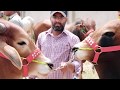 BOHAT DIKHA DI LAHORE BAKRA MANDI - UB BAARI HA - Model Cattle Market Sheikhupura