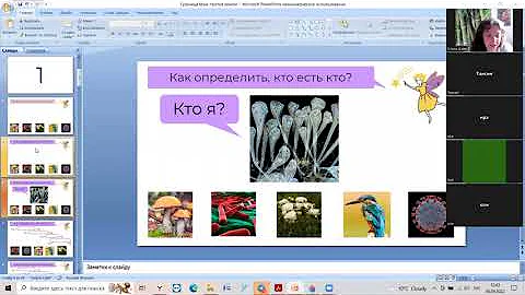 Как определить к какому царству относится живой организм?