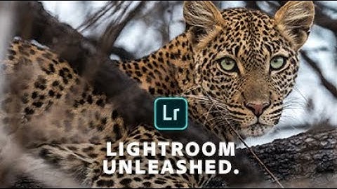 Lightroom Unleashed - How to Crop for Perfect Composition I Adobe UK