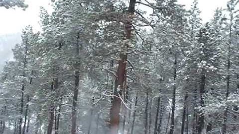 Daniel Fairly Knives - Knifemaking shop in progress!