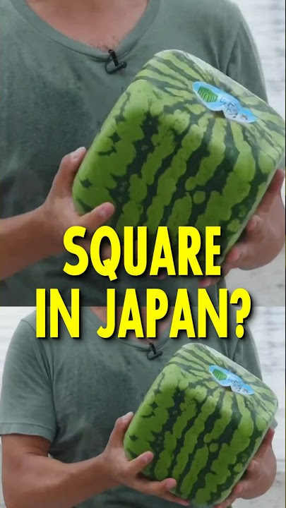 Why Watermelons are Square in Japan 🇯🇵