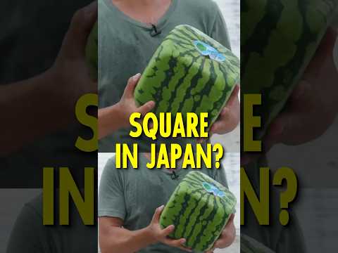 Why Watermelons Are Square In Japan