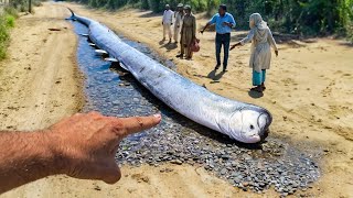 Cosas Increíbles Que Se Encuentran en la Naturaleza