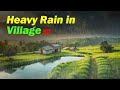 Heavy Rain in Village 🇧🇩