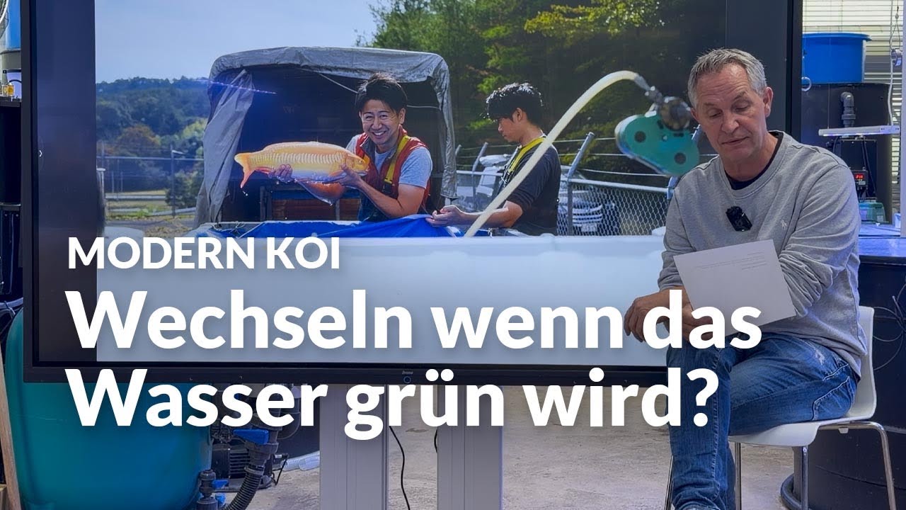 Wie oft sollte man UV Lampen austauschen ? | Modern Koi Blog #8112