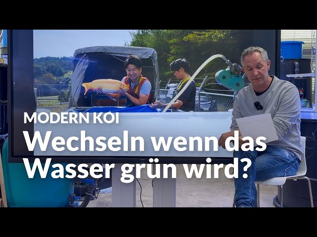 Wie oft sollte man UV Lampen austauschen ? | Modern Koi Blog #8112