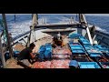 Un día en el mar: la pesca de la gamba roja de Dénia (Completo)
