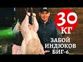 Забой 30 КГ-х индюков БИГ6