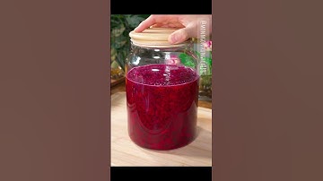 Nước ép thanh long lên men