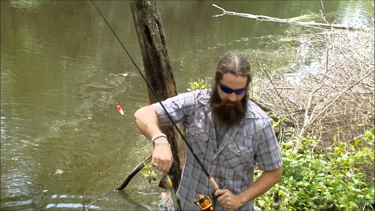 BREAM FISHING WITH CRICKETS ON#8 BAIT SAVER HOOK - baitsaverhooks