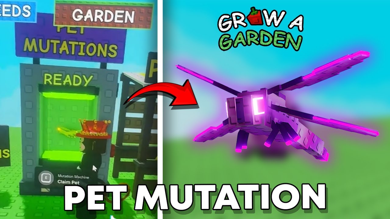 UPDATE PET MUTATION! - Grow a Garden - YouTube
