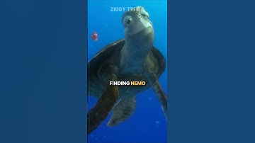 Did you know that of FINDING NEMO...