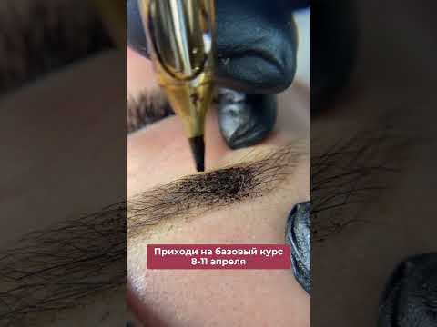 Базовый курс по перманентному макияжу бровей с нуля во Владимире 🔥 подробнее в описании ⬇️