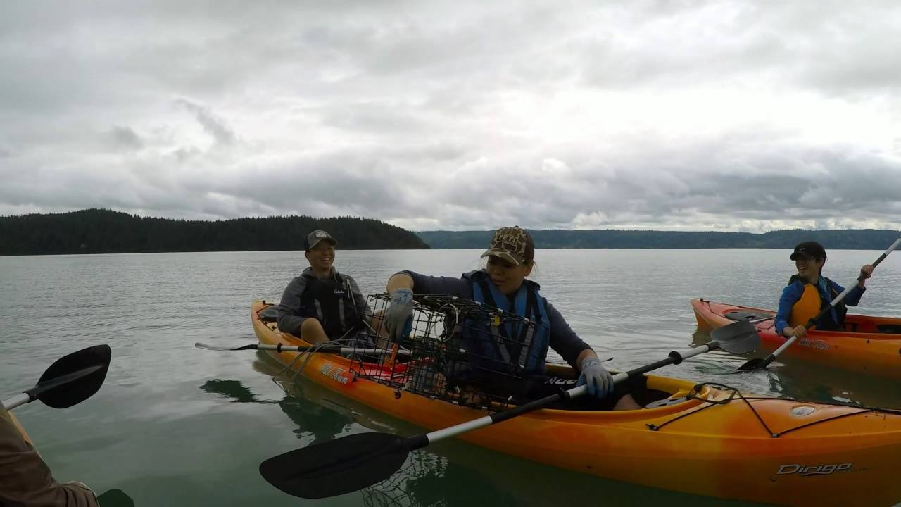 Kayak Crabbing in Brinnon, WA 07 23 2016 YouTube