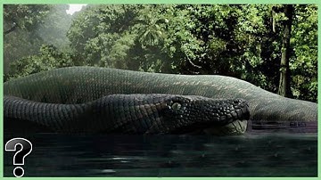 What If The Titanoboa Snake Didn