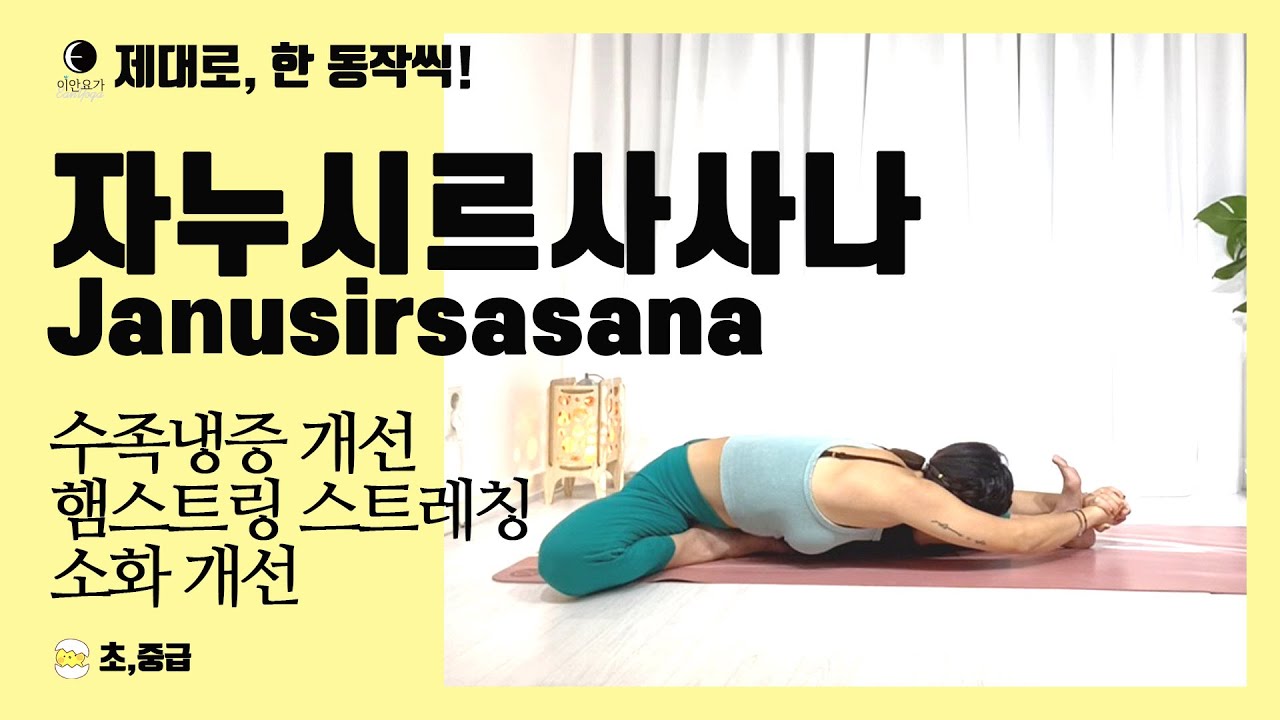 요가마님 [ 자누시르사사나 ]  수족 냉증 완화ㅣ소화  개선ㅣ하체 순환ㅣ척추 스트레칭 ㅣ앉은 요가 자세ㅣ수정 버전 ㅣ초보자 자세 있어요