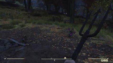 Fallout 76: Rare Encounters - Undetonated Bomb