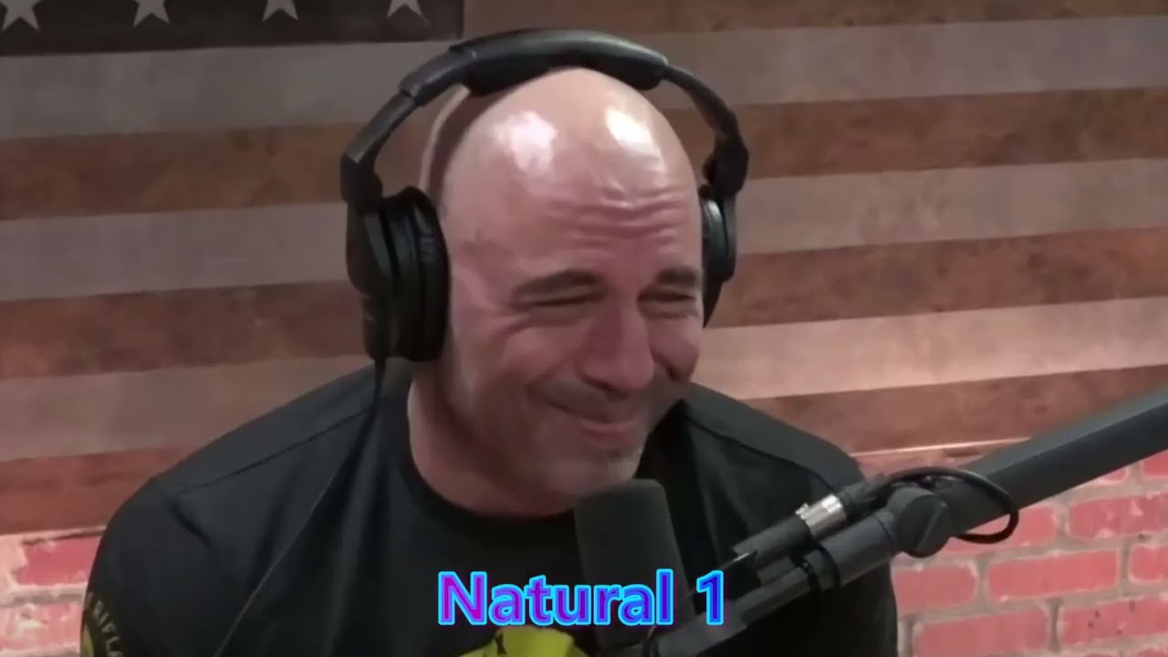 T8 Joe rogan talk