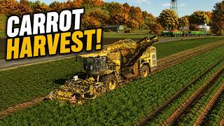 CARROT HARVEST!🔥🚜l Riverbend Springs Timelapse FS25 l Ep.221
