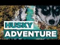 Dog Adventure Trip with Husky Girl Halo (Hell-Valley / Lower Austria)