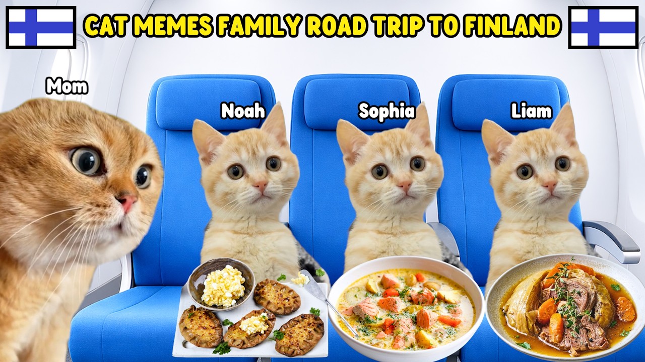 CAT MEMES FAMILY ROAD TRIP TO FINLAND