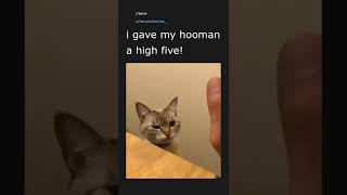 Daily Top Reddit Posts #19. 08/27/22. Top post in r/aww.
