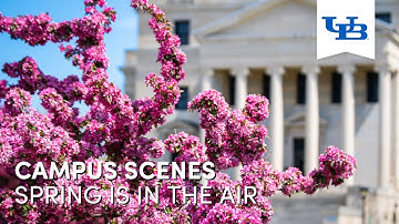 Spring is in the Air | University at Buffalo