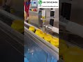 Automatic Cream Filling Machine for Thick Lotions & Gels | Cosmetic Packaging Machine